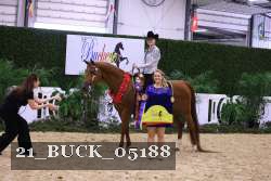 21_BUCK_05188 proof