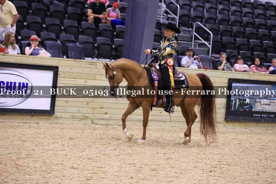 Proof 21_BUCK_05193