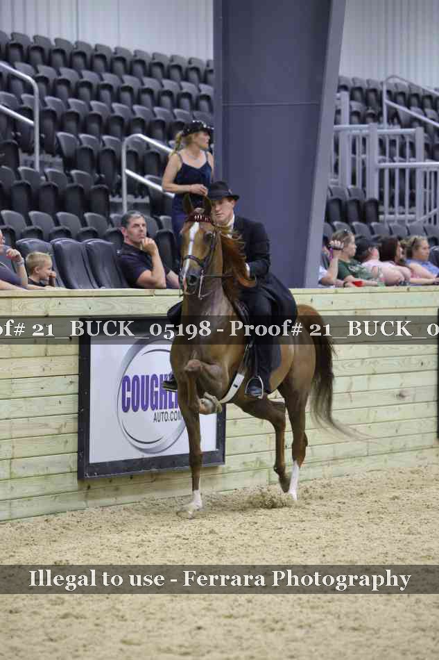Proof 21_BUCK_05198