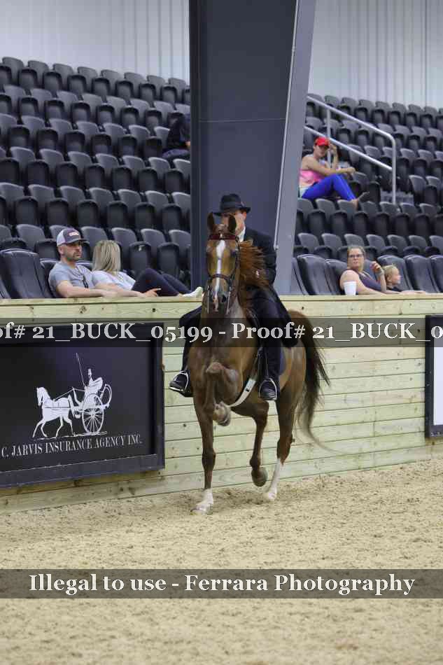 Proof 21_BUCK_05199