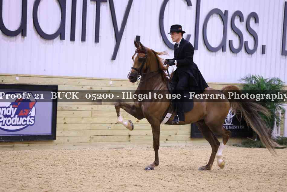 Proof 21_BUCK_05200