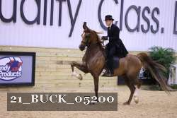 21_BUCK_05200 proof
