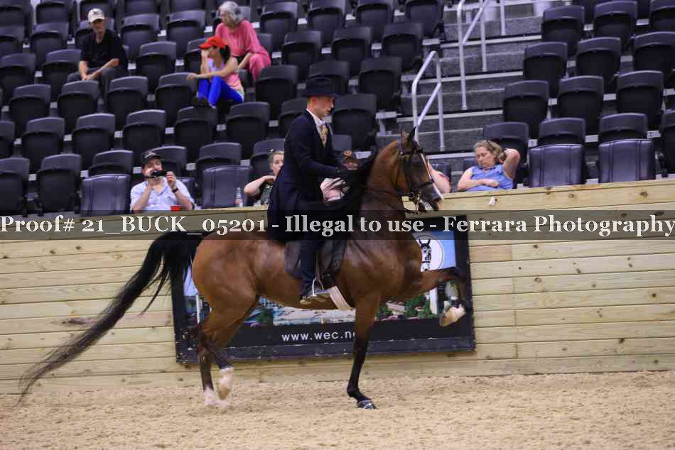 Proof 21_BUCK_05201