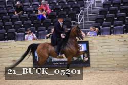 21_BUCK_05201 proof