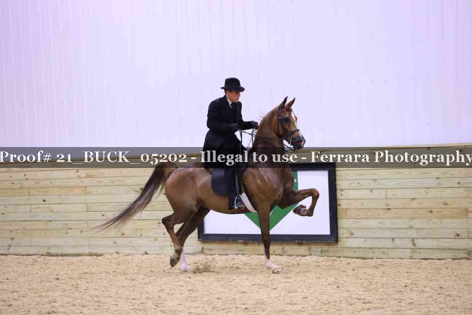 Proof 21_BUCK_05202