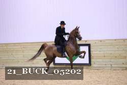 21_BUCK_05202 proof