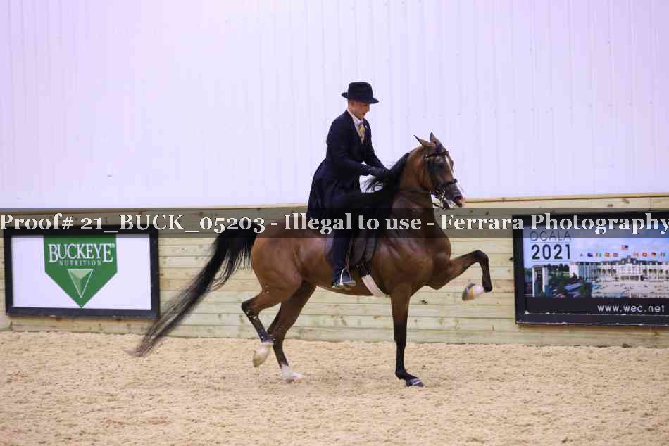 Proof 21_BUCK_05203