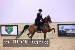 21_BUCK_05203 proof