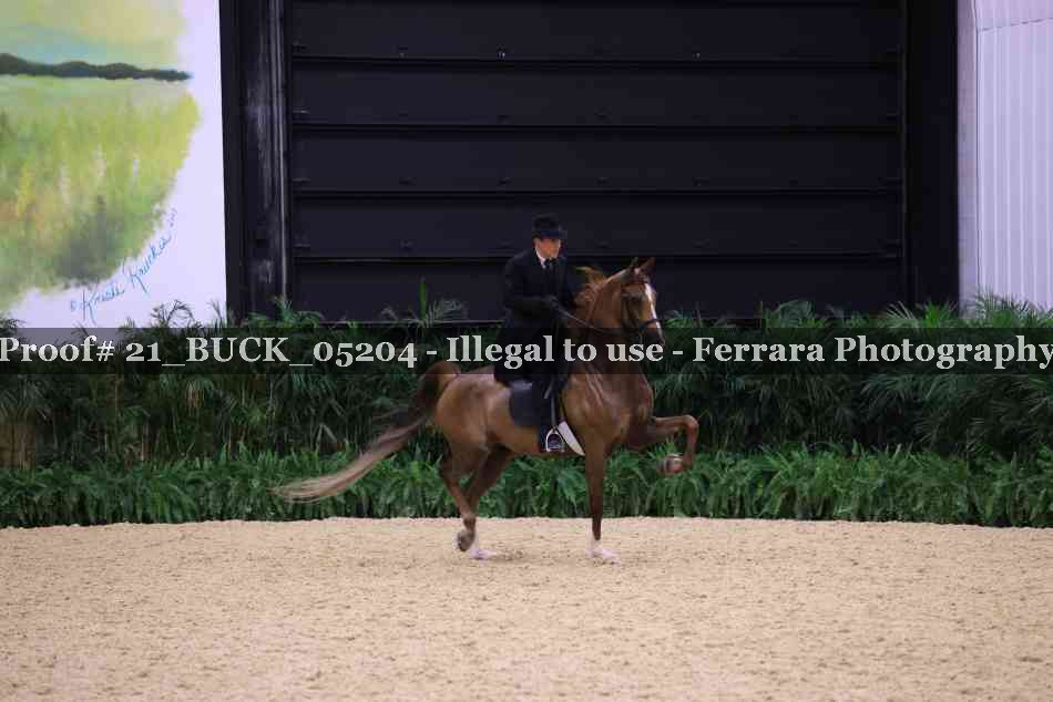Proof 21_BUCK_05204