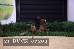 21_BUCK_05204 proof