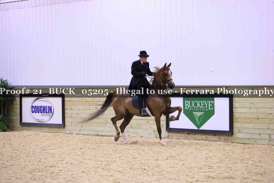 Proof 21_BUCK_05205