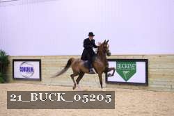 21_BUCK_05205 proof