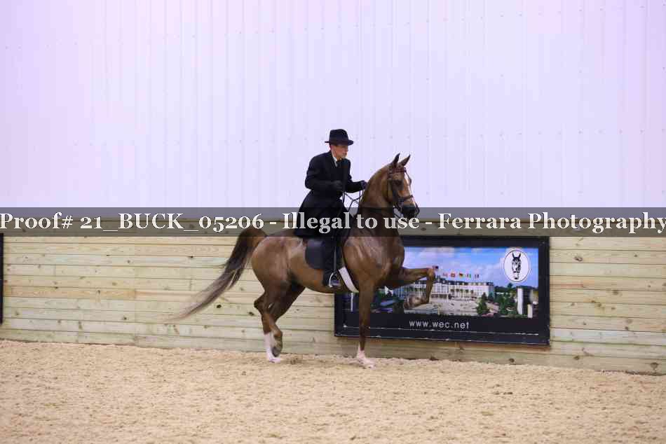 Proof 21_BUCK_05206