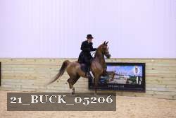 21_BUCK_05206 proof