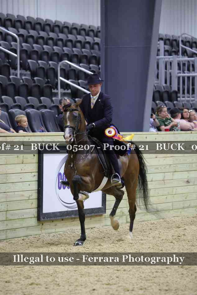 Proof 21_BUCK_05207