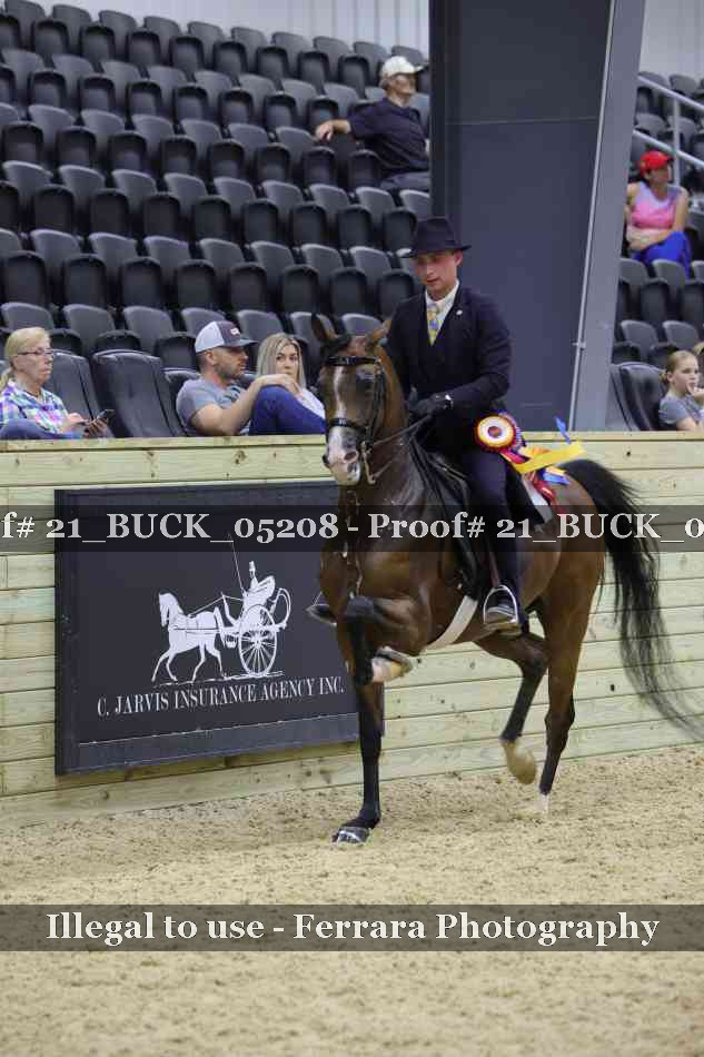 Proof 21_BUCK_05208