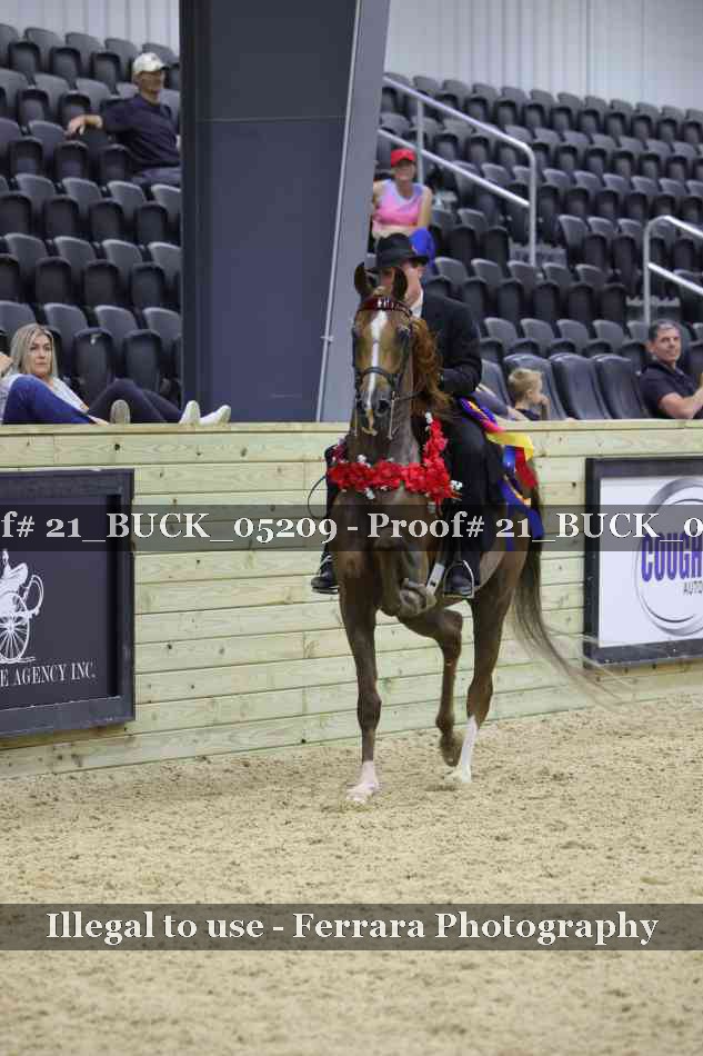 Proof 21_BUCK_05209