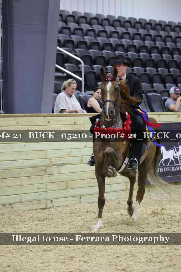 Proof 21_BUCK_05210