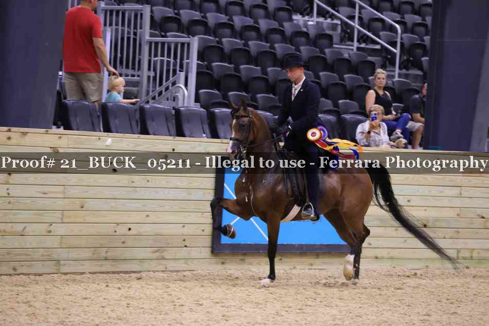 Proof 21_BUCK_05211