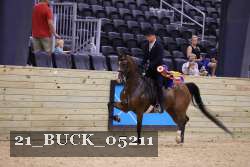 21_BUCK_05211 proof