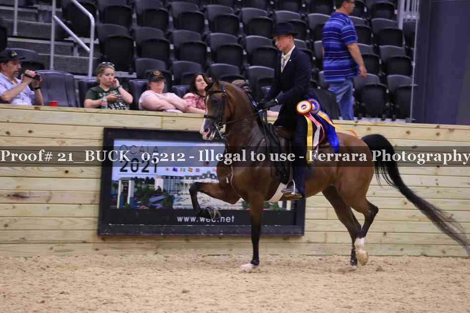 Proof 21_BUCK_05212