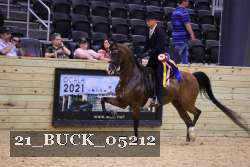 21_BUCK_05212 proof