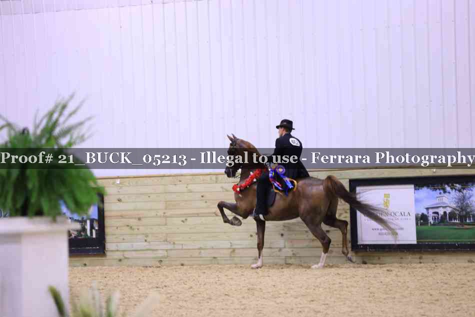 Proof 21_BUCK_05213