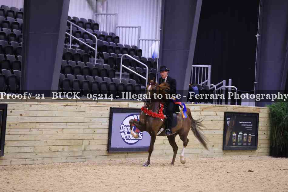 Proof 21_BUCK_05214