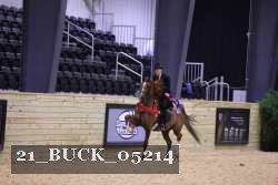 21_BUCK_05214 proof