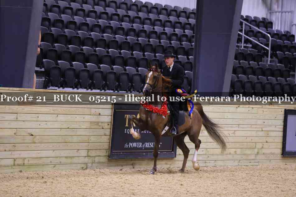 Proof 21_BUCK_05215