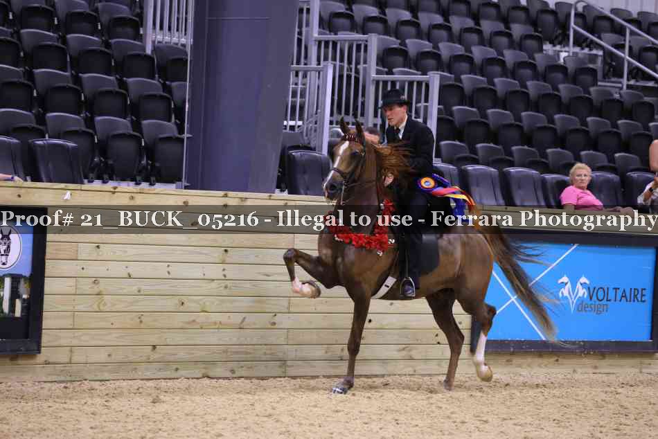 Proof 21_BUCK_05216
