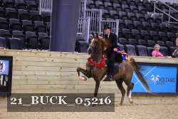 21_BUCK_05216 proof
