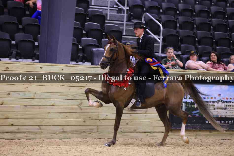 Proof 21_BUCK_05217