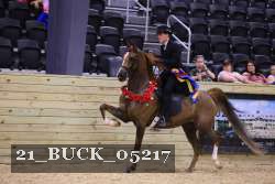 21_BUCK_05217 proof