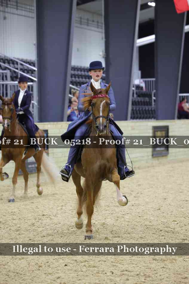 Proof 21_BUCK_05218