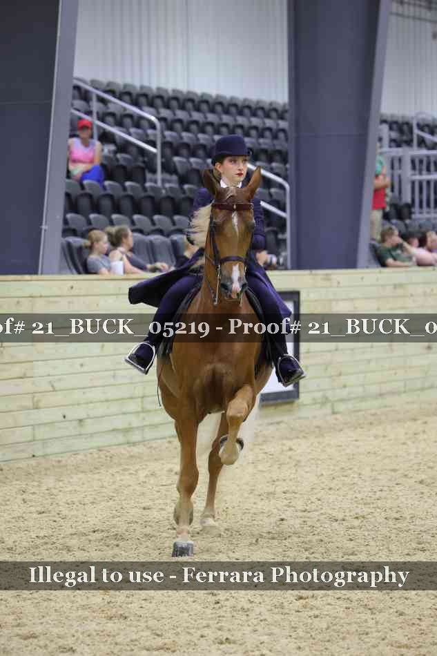 Proof 21_BUCK_05219