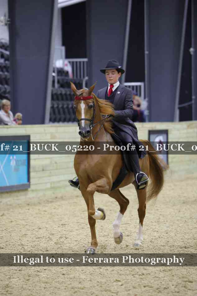 Proof 21_BUCK_05220