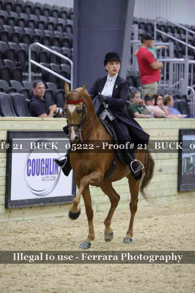Proof 21_BUCK_05222