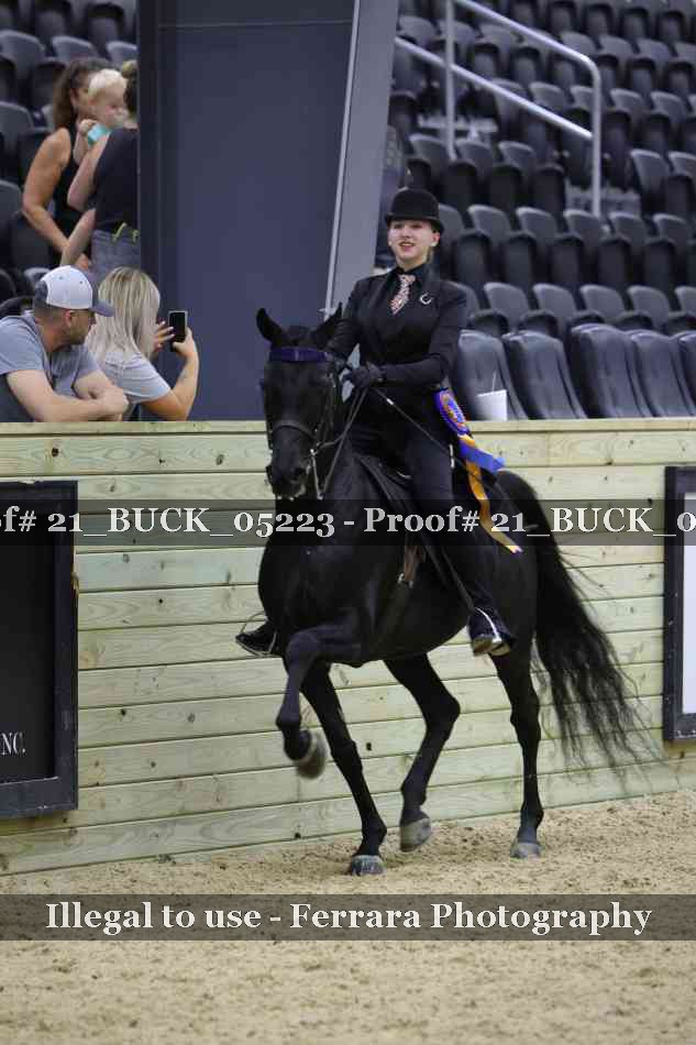 Proof 21_BUCK_05223