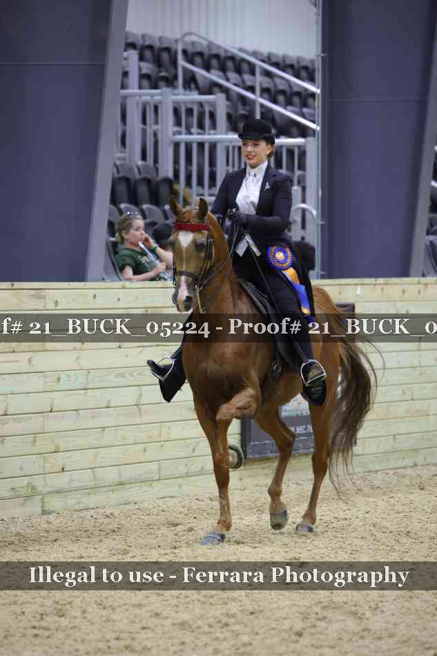 Proof 21_BUCK_05224