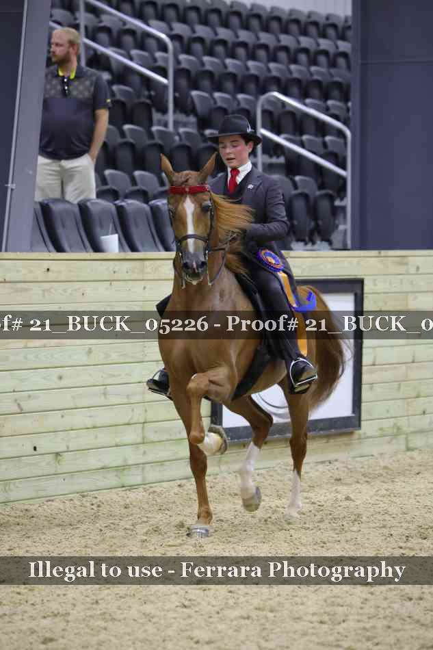 Proof 21_BUCK_05226