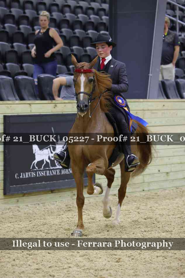 Proof 21_BUCK_05227