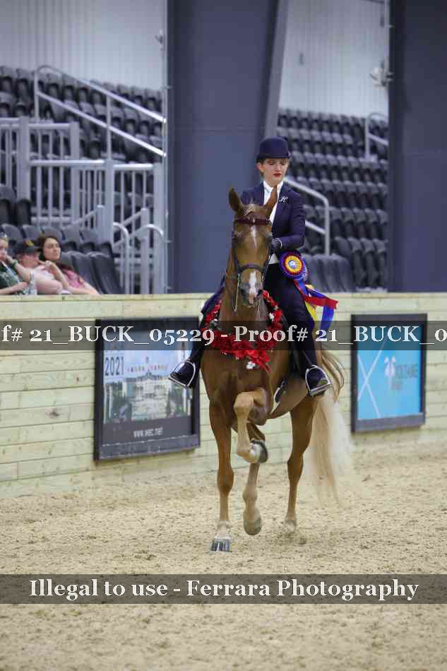 Proof 21_BUCK_05229
