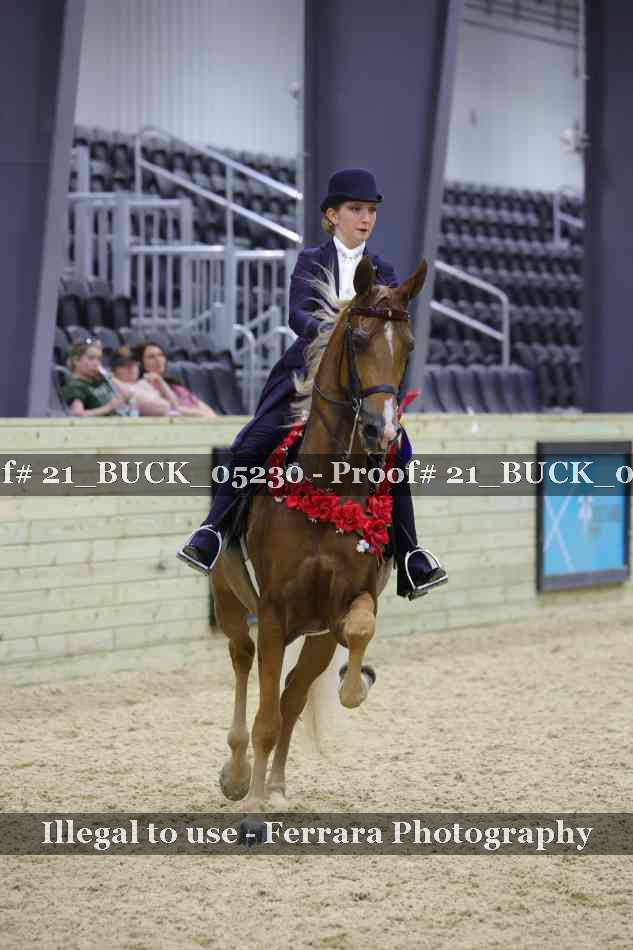 Proof 21_BUCK_05230