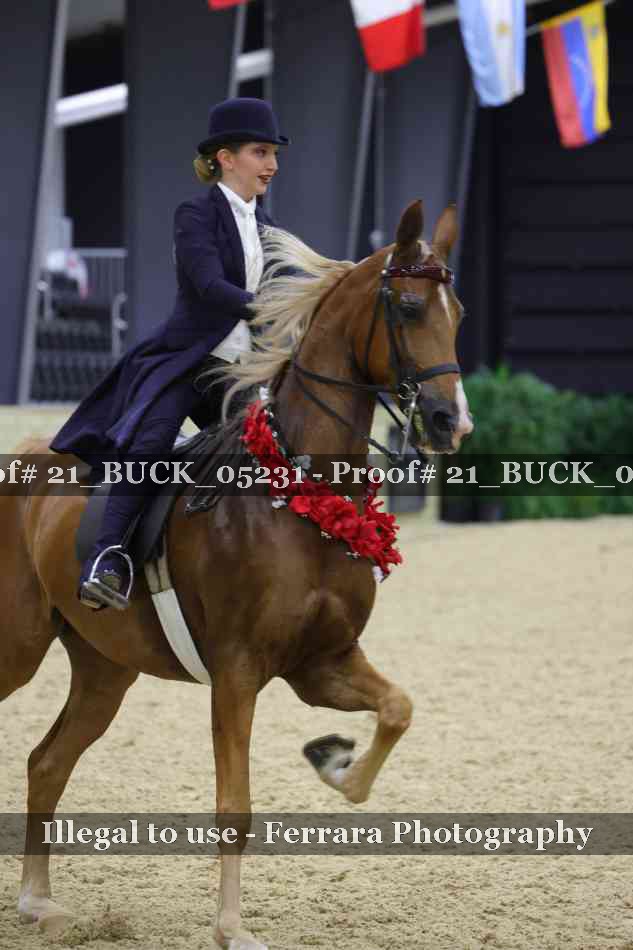 Proof 21_BUCK_05231
