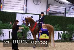 21_BUCK_05233 proof