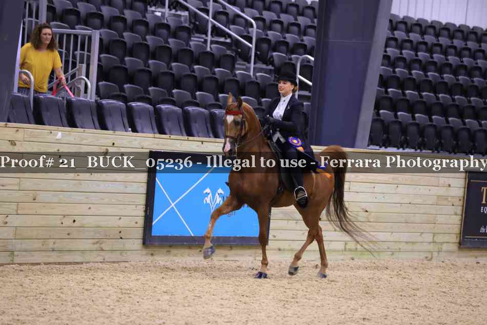 Proof 21_BUCK_05236