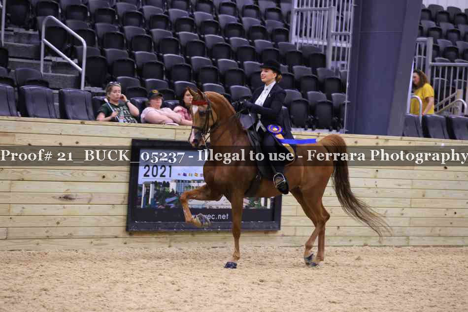 Proof 21_BUCK_05237