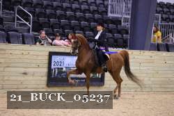 21_BUCK_05237 proof