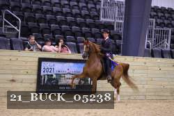 21_BUCK_05238 proof